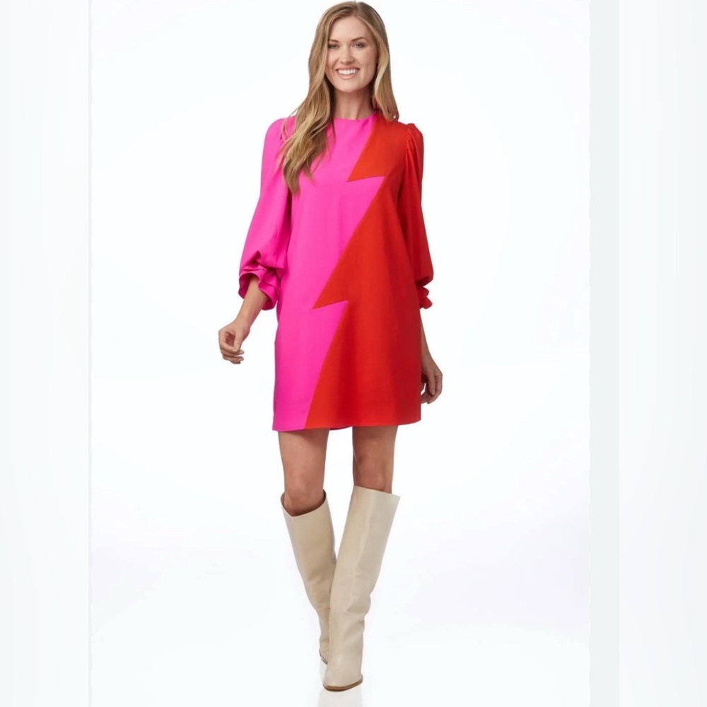 Crosby by Mollie Burch Meaghan long Sleeve dress mini size large NWT